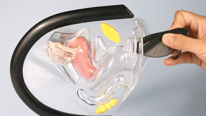 Le Disque Menstruel Reglevolution